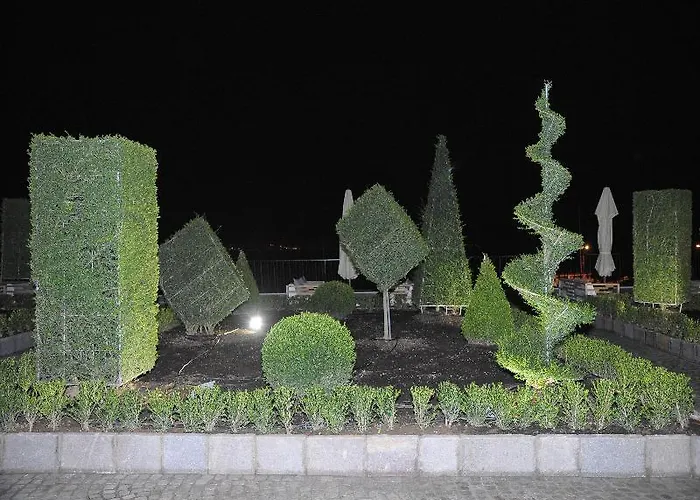 Amadria Park Royal 酒店 奥帕提亚